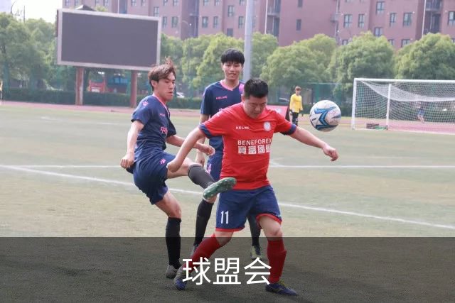 球盟会企业办公与团队协作